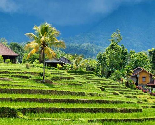 ubud