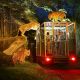 Bali-Safari---Night-Safari-Feature-Image